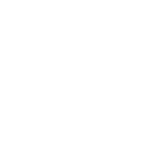 desenho de uma leão escrito lyon fitness feito por uma agência de marketing digital