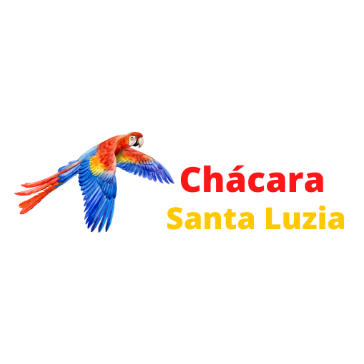 marketing-digital